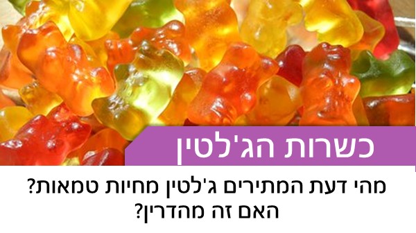 מהי דעת המתירים ג