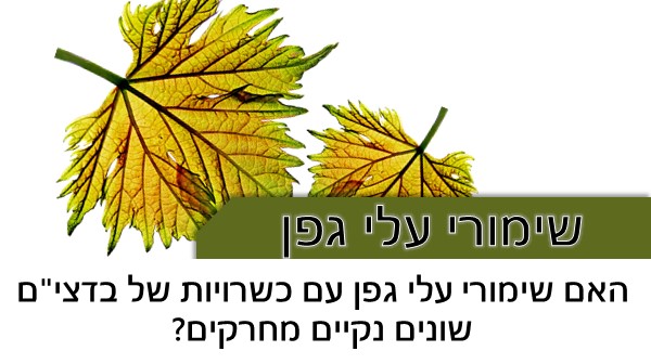 האם עלי גפן בשימורים נקיים מחרקים? האם המצב שונה כאשר יש עליהם כשרויות של בדצי"ם שונים?