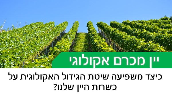 כיצד משפיעה שיטת הגידול האקולוגית על כשרות היין שלנו?