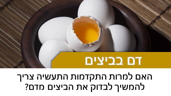  בדיקת ביצים   האם גם בימינו צריך לבדוק  ביצים מדם? האם מותר לאכול ביצה קשה ללא בדיקה? כאשר מוצאים ד