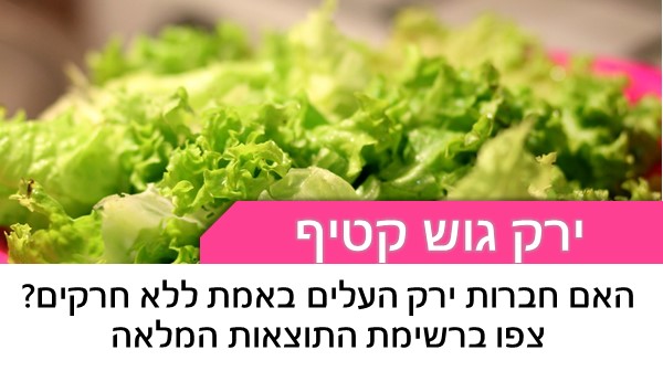 האם חברות ירק העלים באמת ללא חרקים? צפו ברשימת התוצאות המלאה