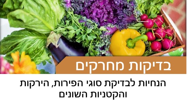 הנחיות לבדיקת סוגי הפירות, הירקות והקטניות השונים