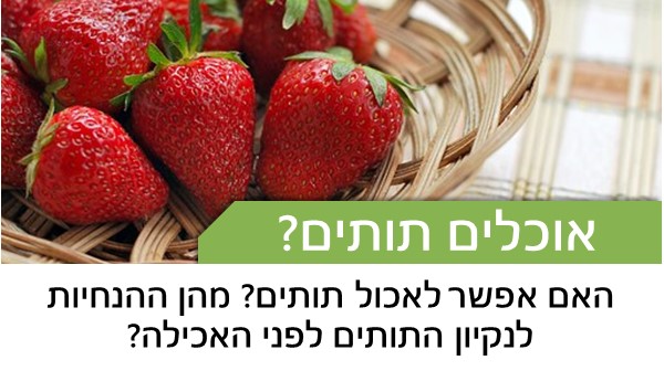האם אפשר לאכול תותים? מהן ההנחיות לנקיון התותים לפני האכילה?