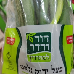 הוד והדר