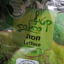 קטיף כהלכה