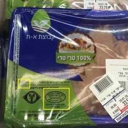 עוף הוד חפר