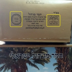 תמרים מיובשים