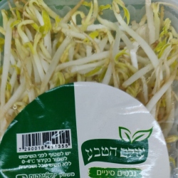 נבטים לבנים