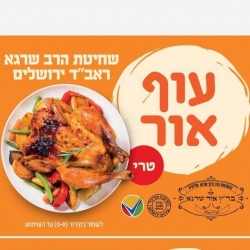 עוף אור **