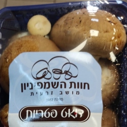 פטריות טריות באריזה